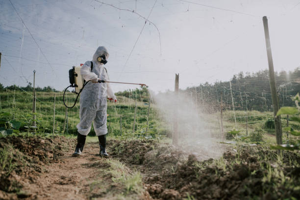 Best Mosquito Control Services  in Lagunitas Forest Knolls, CA
