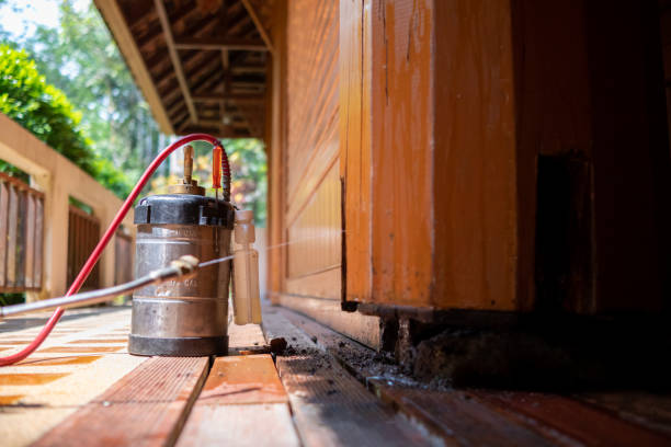 Trusted Lagunitas Forest Knolls, CA Pest Control Experts