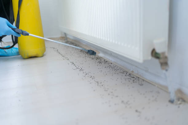Best Pest Prevention Services  in Lagunitas Forest Knolls, CA